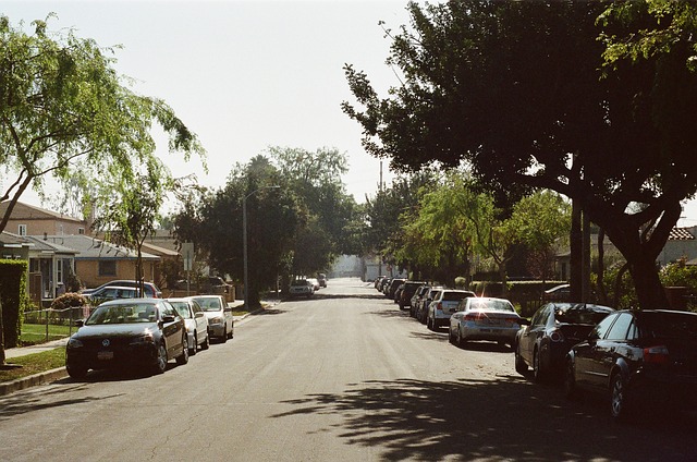 parking along a tree lined street